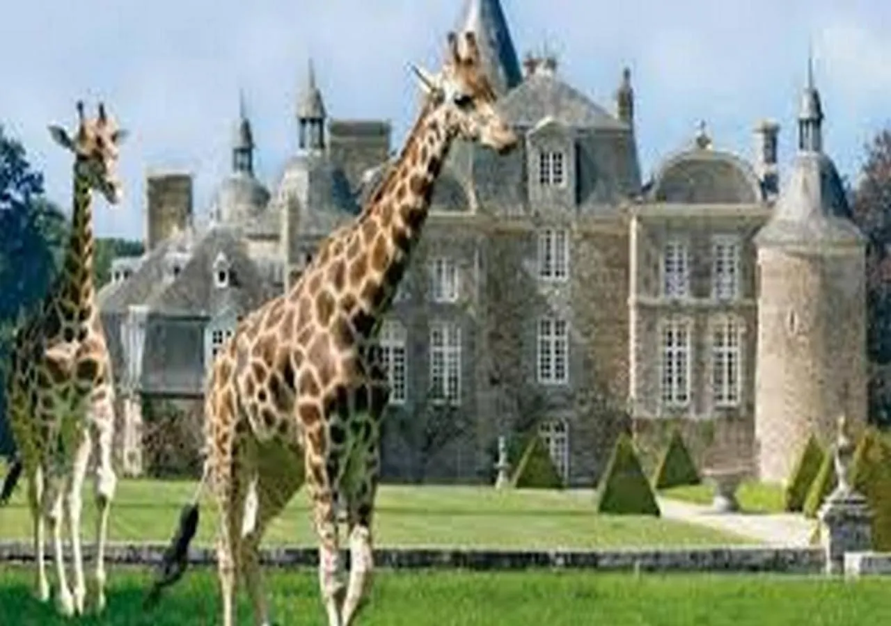 Hébergement de vacances Les cottages du golf Le Tronchet